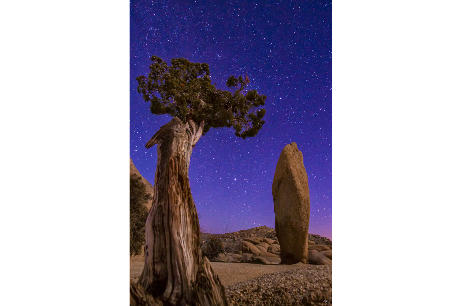 Joshua Tree National Park