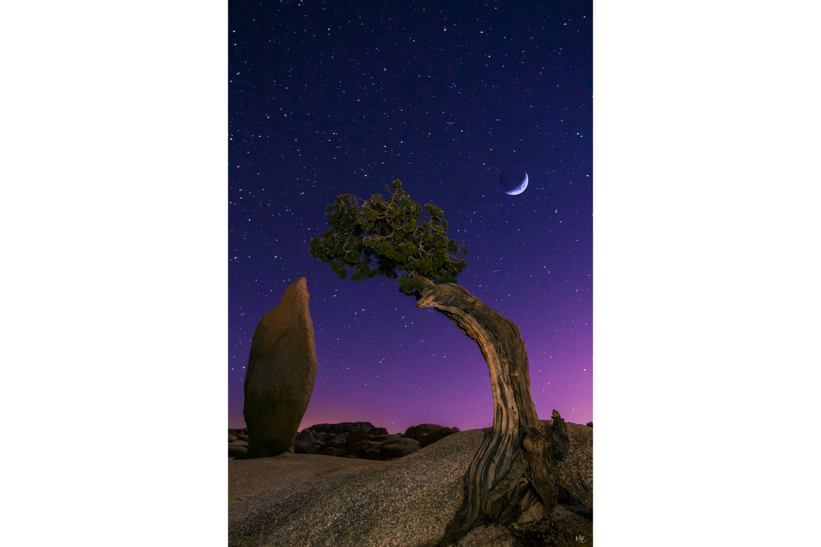 Mark Epstein Photo | The Three Kings